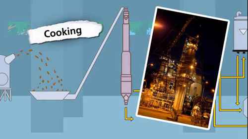 巴西公司的纸浆生产过程