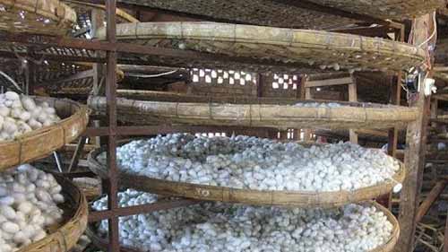 丝绸是怎样制成的