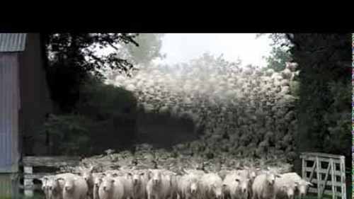 参观阿什福德纺织厂