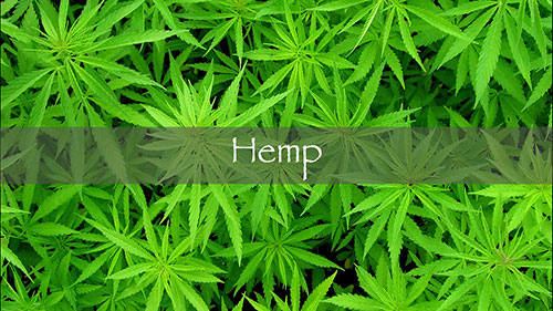 慢时尚 - 4种可持续面料