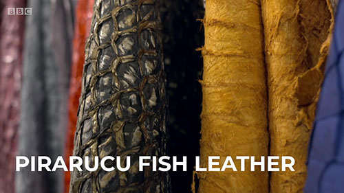 时尚意识：未来的神奇面料