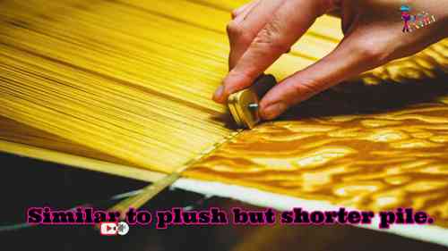 10种最流行的面料及其性能和用途