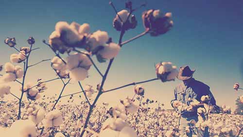 纺织品背后的故事