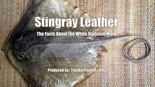 关于白色钻石的真相