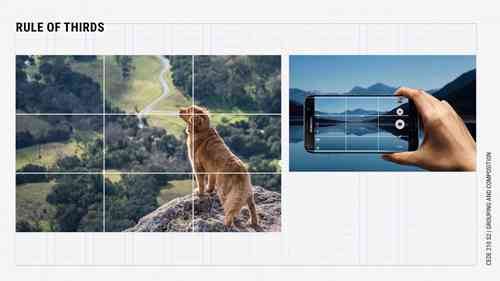 一起学排版（2）：分组和构图