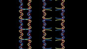 绉纱组织，灯芯绒组织和天鹅绒组织