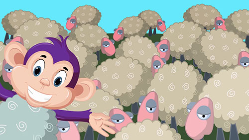 羊毛是如何制成布料的？