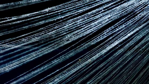 牛仔布学院（2）：从棉条到纱线