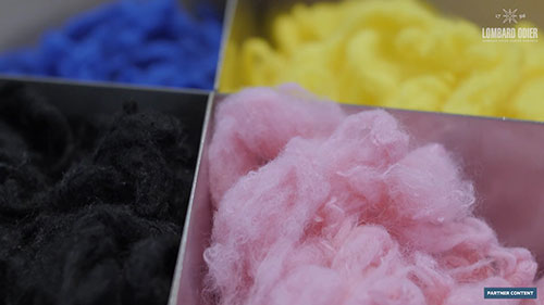 时装业如何改从森林寻找未来的纤维