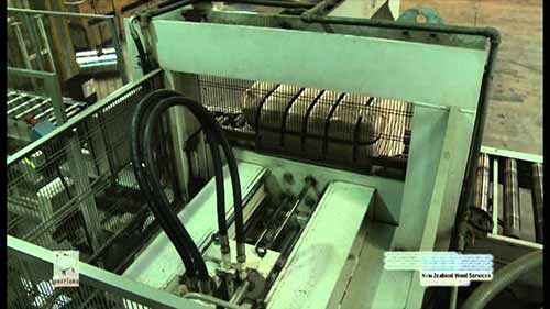 新西兰羊毛：从农场到地毯