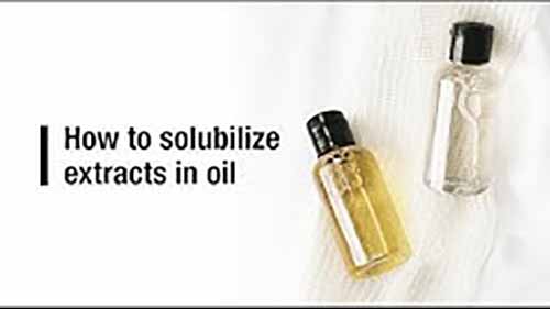 如何用油溶解萃取物