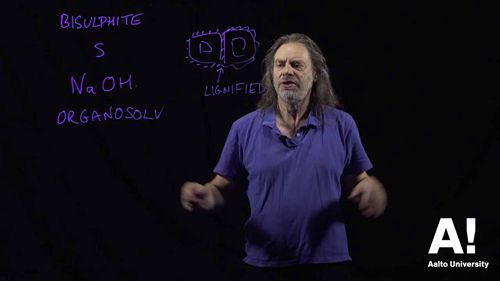 制浆和造纸 3亚硫酸氢盐制浆