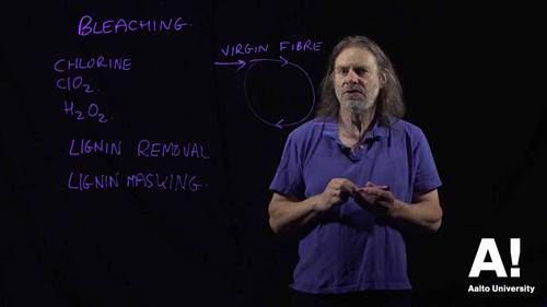 制浆和造纸 5漂白