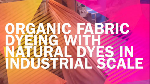工业规模的天然染料有机织物染色