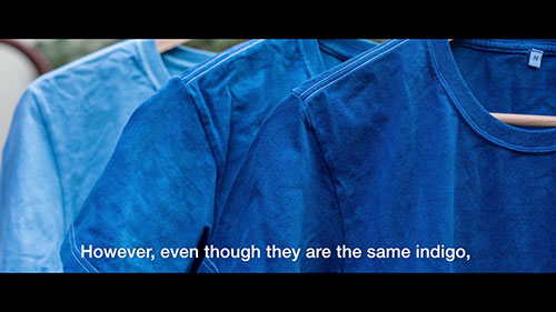 日本蓝的秘密：蓝染工匠的故事