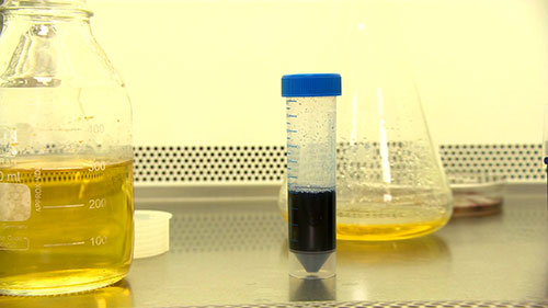 让细菌为可持续时尚出力