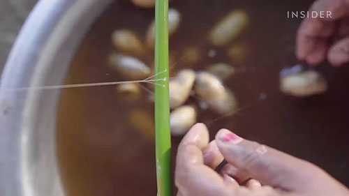 为什么穆加丝绸这么贵？