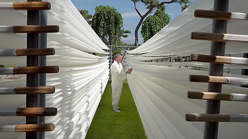 韩国传统丝绸大师：蚕茧制丝工艺