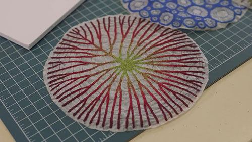 纺织品艺术家梅雷迪思·伍尔诺