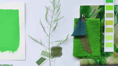 跟特里西娅·吉尔德学习如何创建情绪板（3）