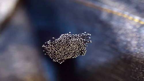 WEKO牛仔布染色及织物整理