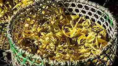 寻香之旅 5 诺西贝岛依兰