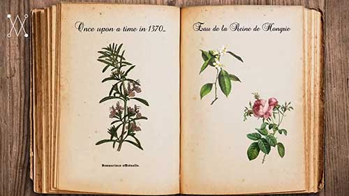 香水历史：匈牙利王后之水