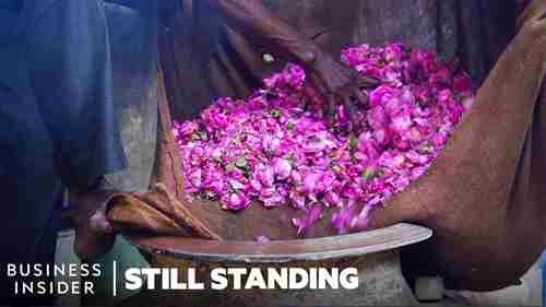 印度香水师如何复刻雨季气息