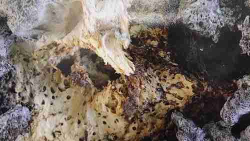 遇见艺术家：纺织艺术家玛丽安·贾兹米克