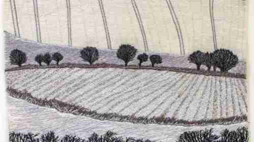 遇见艺术家：纺织艺术家苏·尼科尔斯 