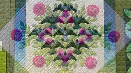 遇见艺术家：拼布师道恩·卡梅隆-迪克 