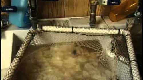 纺织厂羊毛加工 1