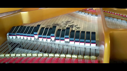 钢琴解剖（4）：踏板的工作原理