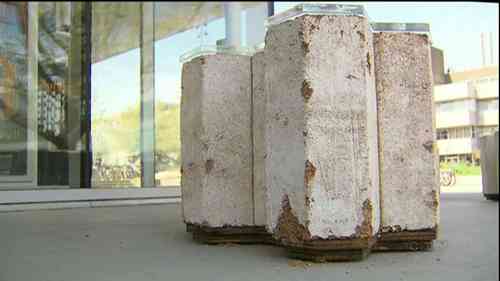 真菌家具：蘑菇能代替塑料吗？