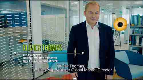 制浆造纸工业 - 确保可持续发展和竞争力