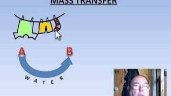 造纸概论：干燥
