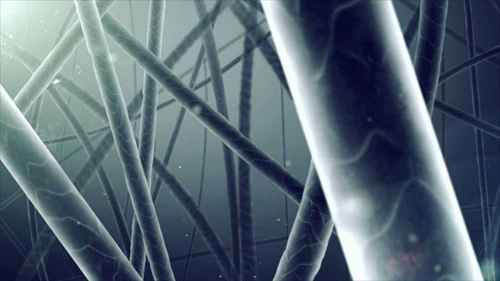 创新——针织品