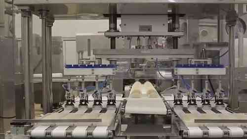 速冻水饺加工厂