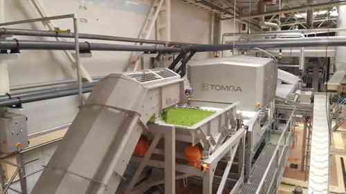 冷冻豌豆是如何生产的