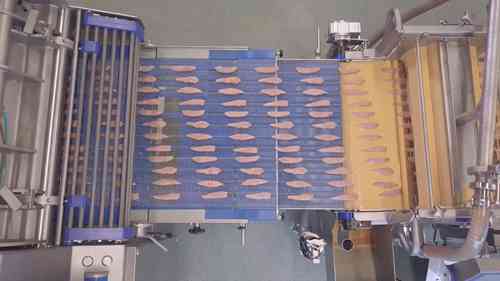 家禽肉加工设备