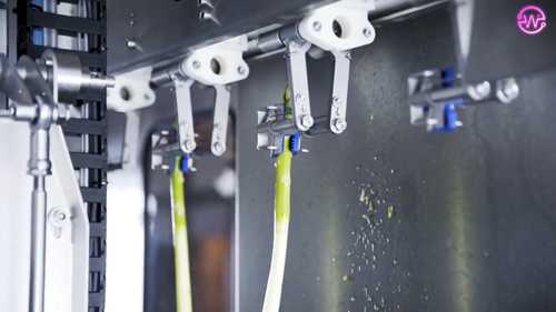 净菜的加工过程