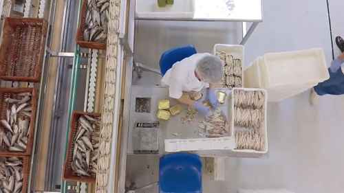 现代鲭鱼加工厂