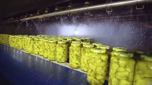 腌辣椒的生产与加工