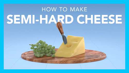 半硬质干酪的生产工艺