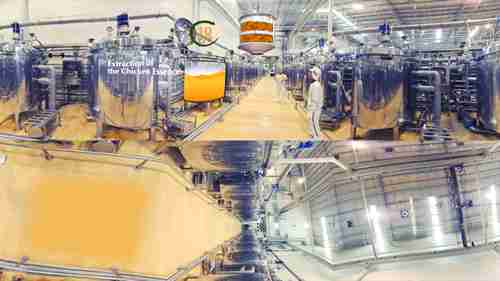 调味品加工：鸡精