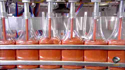 调味品加工：番茄酱