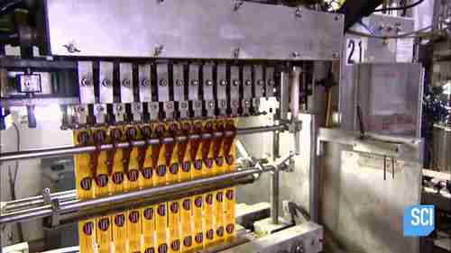 调味品加工：蛋黄酱