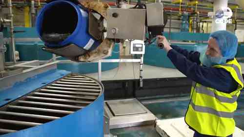 伍斯特郡酱是如何生产的