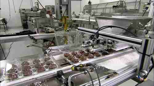 糕点加工：纸杯蛋糕