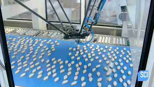 糖果加工：可利颂软糖